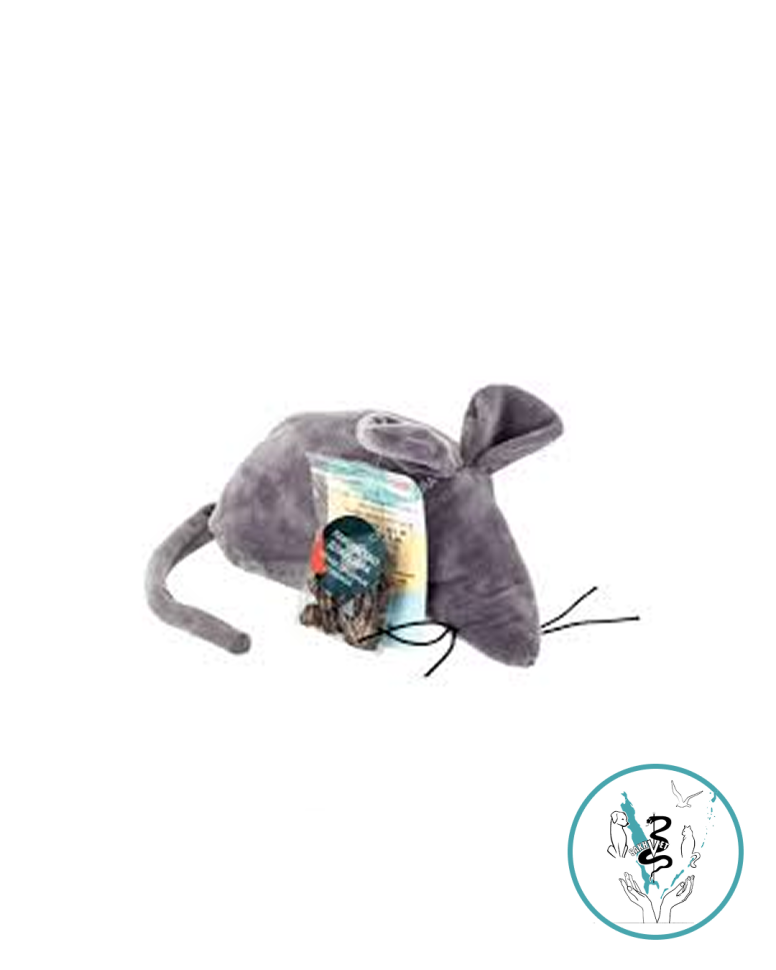 Петто крыс Анатолий 