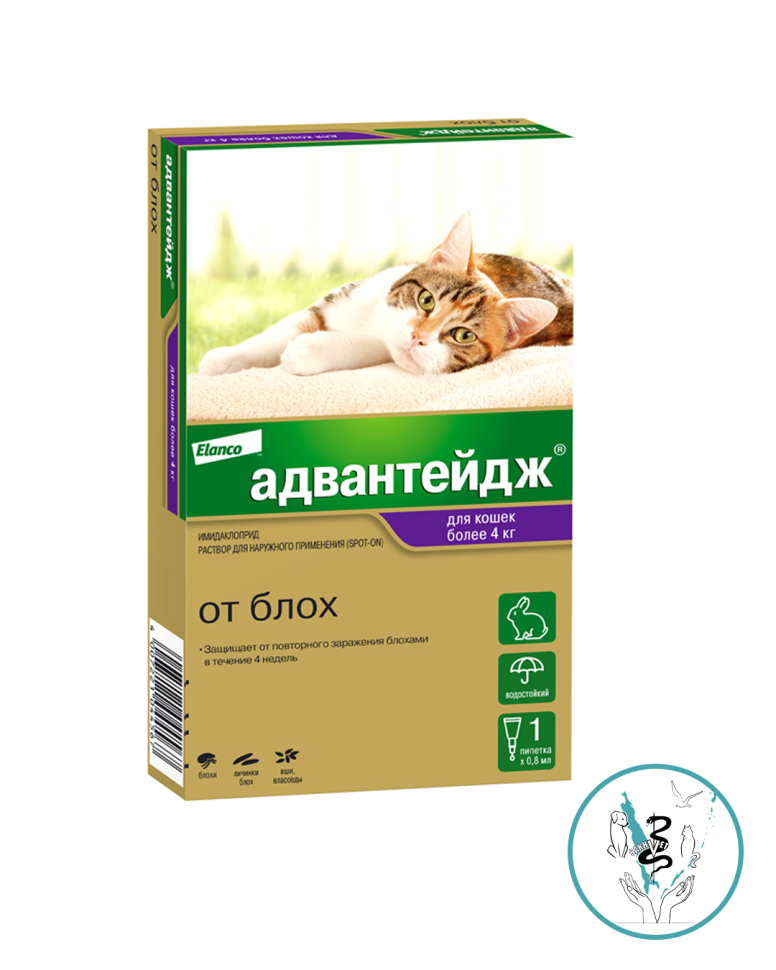 Адвантейдж для кошек более 4 кг 1 пипетка
