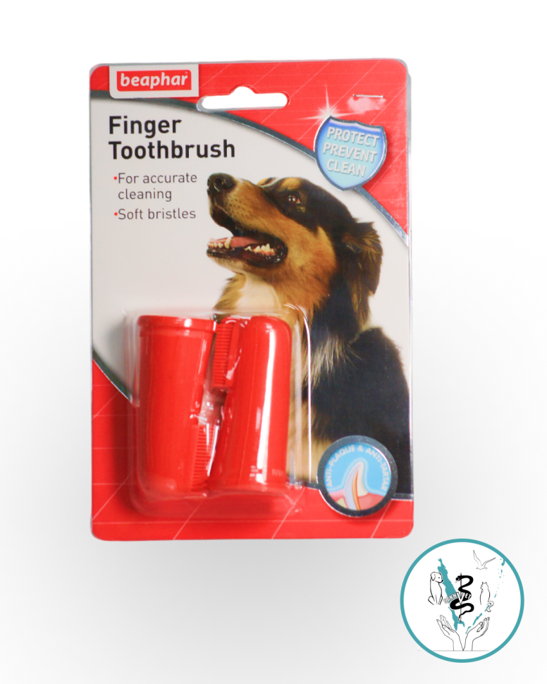 Камон щетка зубная набор 2 штуки