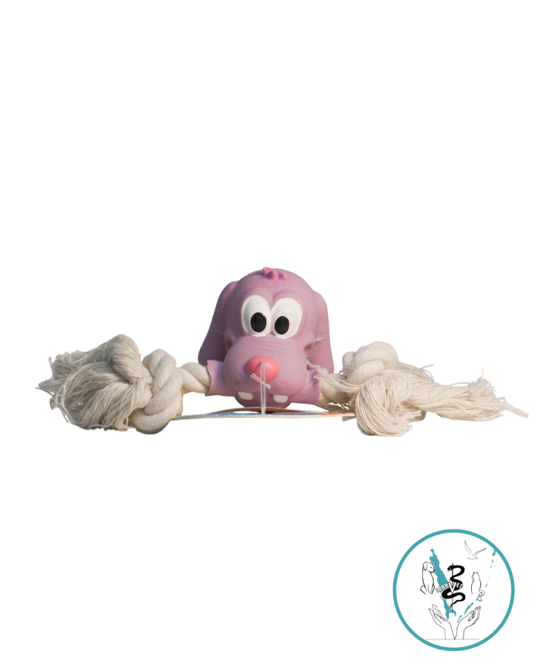 Игрушка собака с канатом 19 см