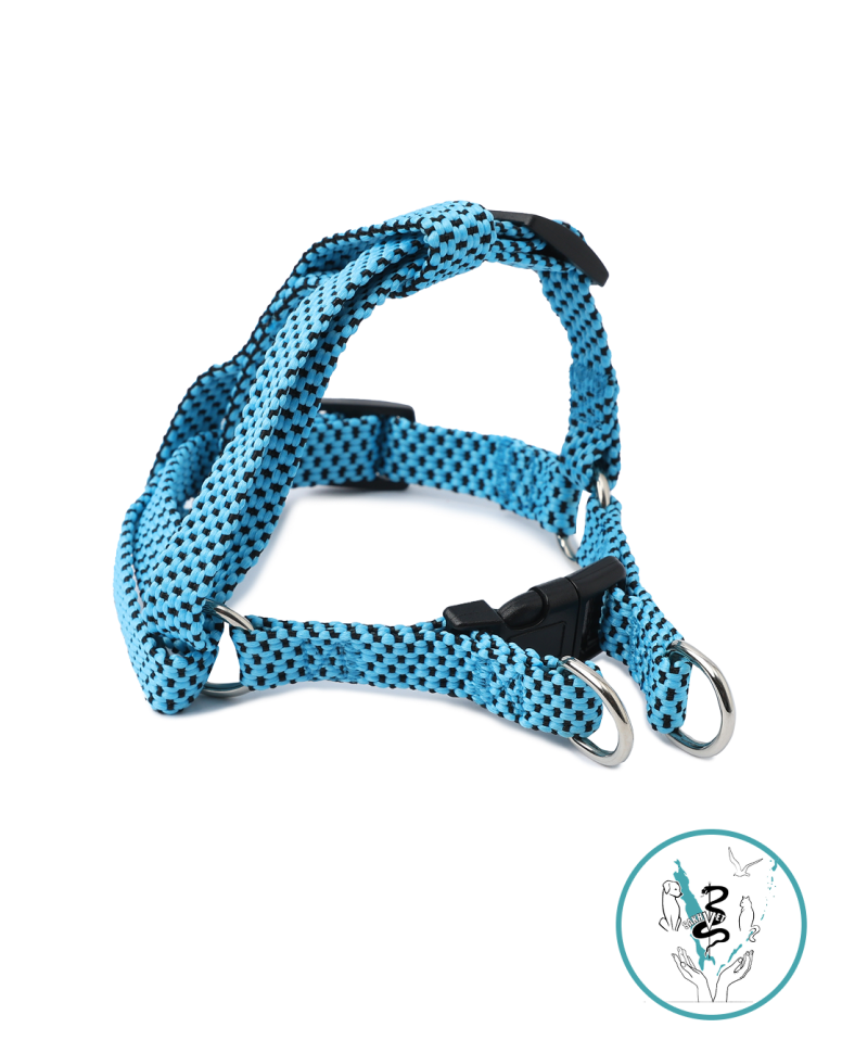 Шлейка для мелких пород голубая 