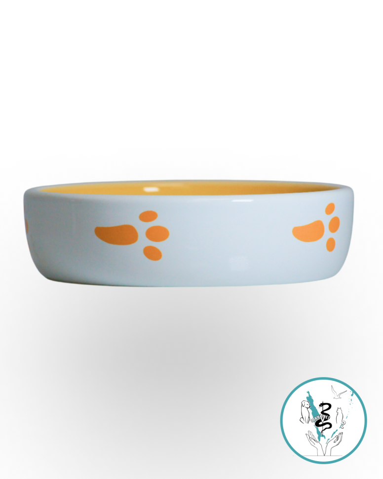 Миска керамика "Морковка " оранжевая Миска керамика "Морковка " оранжевая