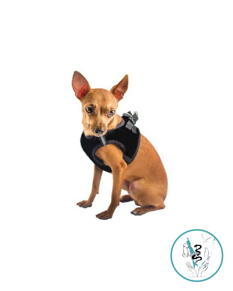 Шлейка Герда размер №3